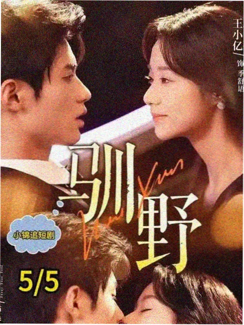 剧集条目清晰度标注调整配图